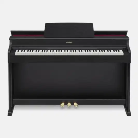 Casio Dijital Piyano Mat Siyah